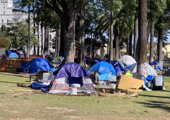 a collection of tents outside near palm trees