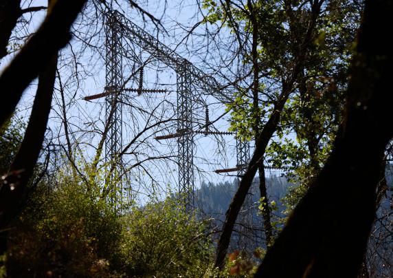 An electricity tower is framed by burned trees