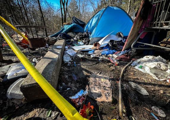 Tents in a wooded area