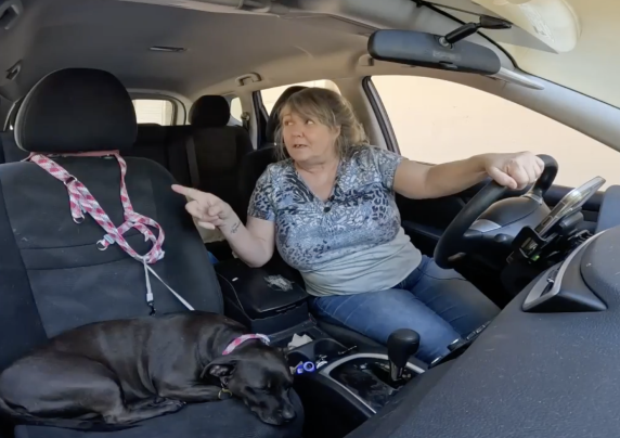 Woman and dog inside a car