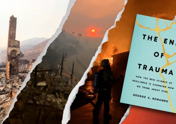 Images of wildfire and book cover