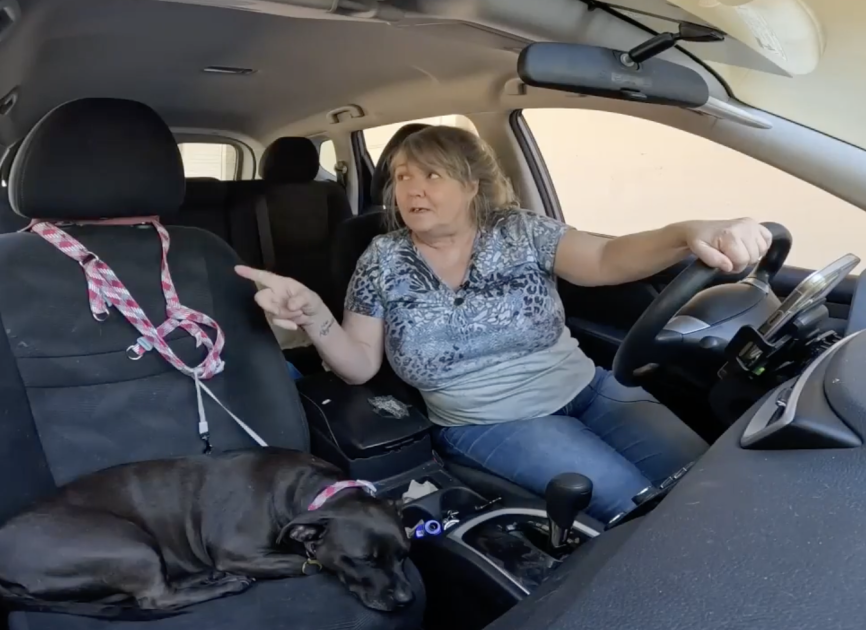 Woman and dog inside a car