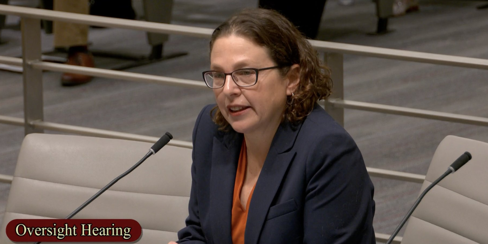 BHHI Director Margot Kushel Testifies at Oversight Hearing