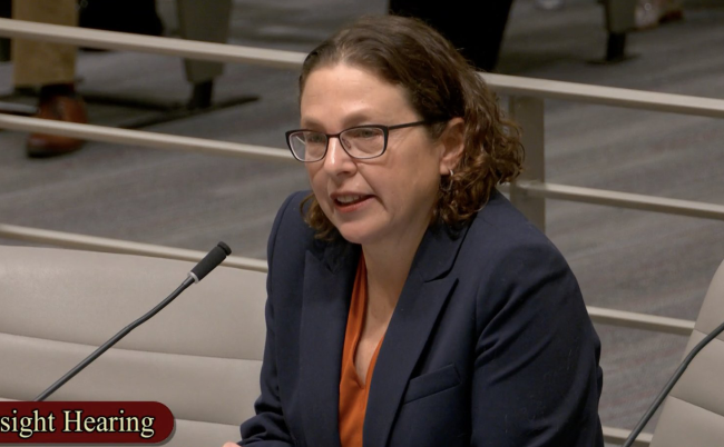 BHHI Director Margot Kushel Testifies at Oversight Hearing